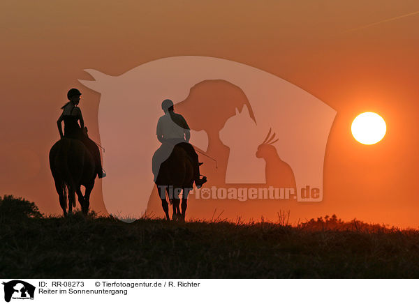 Reiter im Sonnenuntergang / Leisure rider / RR-08273