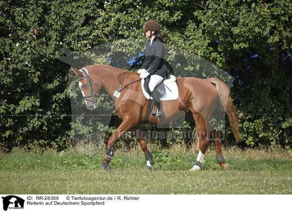 Reiterin auf Deutschem Sportpferd / riding woman / RR-28369