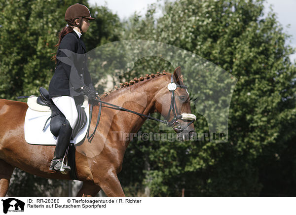 Reiterin auf Deutschem Sportpferd / riding woman / RR-28380