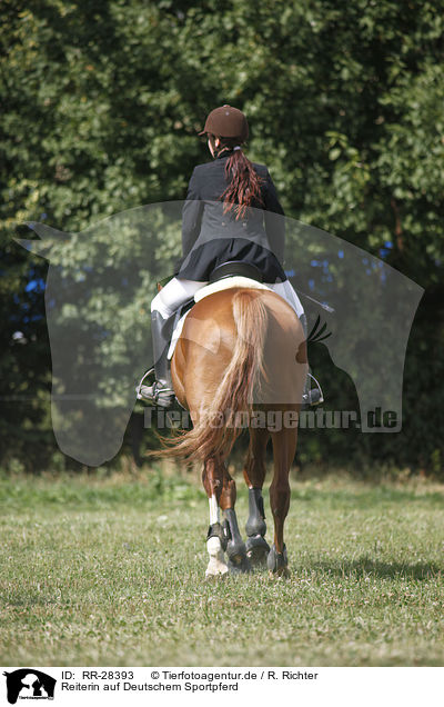 Reiterin auf Deutschem Sportpferd / riding woman / RR-28393