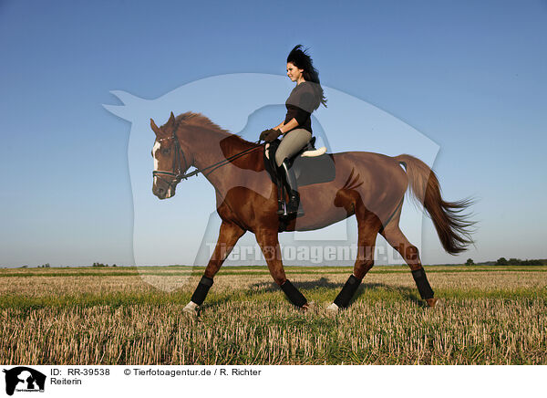 Reiterin / riding woman / RR-39538