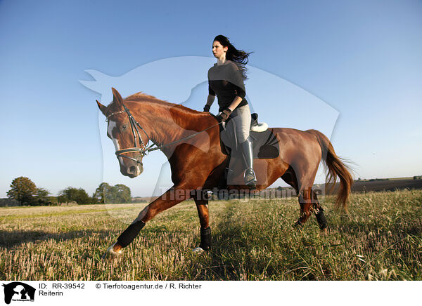Reiterin / riding woman / RR-39542