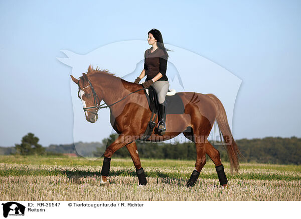 Reiterin / riding woman / RR-39547