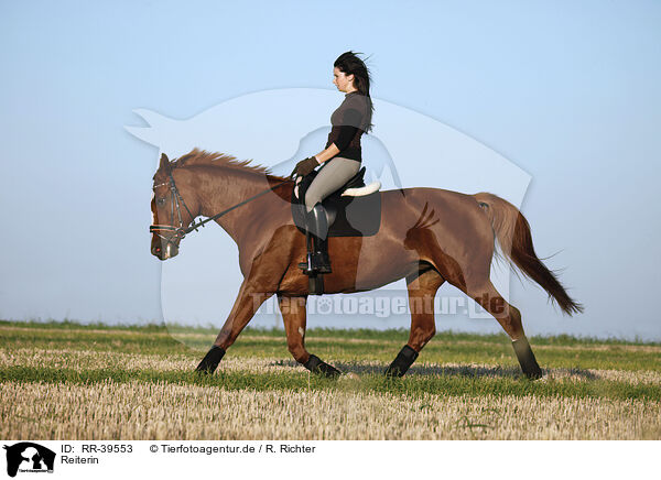 Reiterin / riding woman / RR-39553