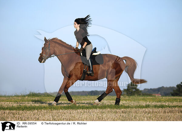 Reiterin / riding woman / RR-39554