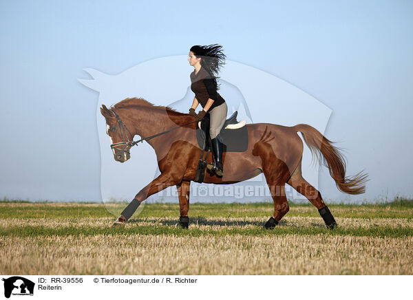 Reiterin / riding woman / RR-39556