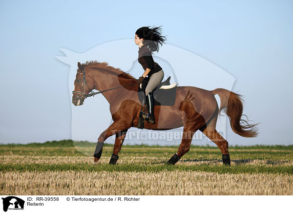 Reiterin / riding woman / RR-39558