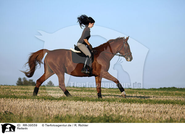 Reiterin / riding woman / RR-39559