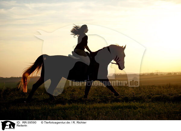 Reiterin / riding woman / RR-39590