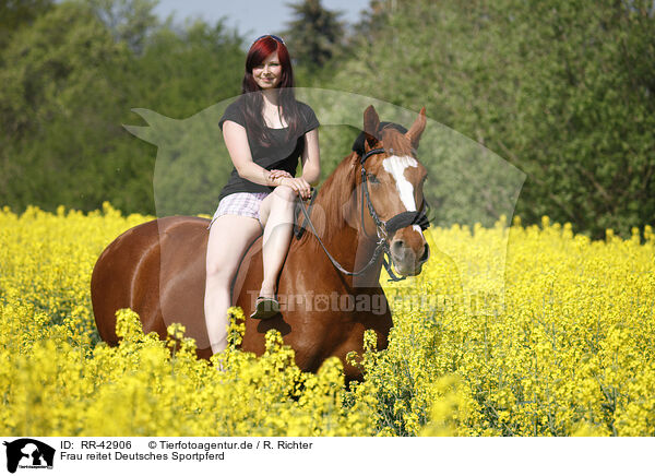 Frau reitet Deutsches Sportpferd / woman rides warmblood / RR-42906