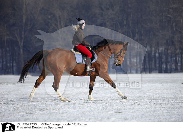 Frau reitet Deutsches Sportpferd / woman rides warmblood / RR-47733