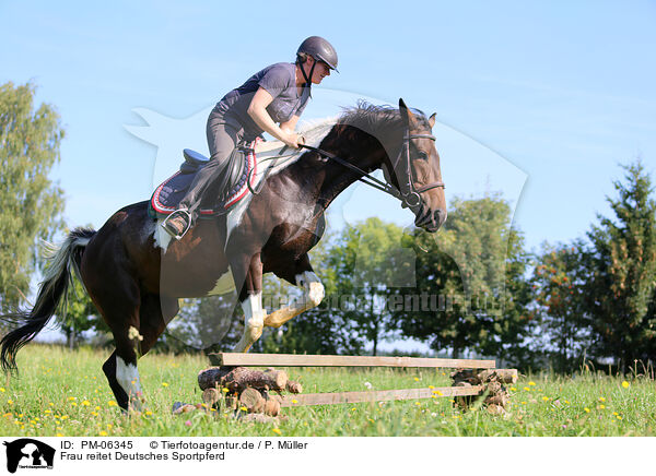 Frau reitet Deutsches Sportpferd / woman rides German Sport Horse / PM-06345
