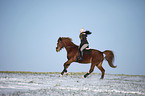 Reiter mit Deutschem Sportpferd