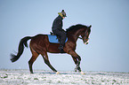 Reiter mit Deutschem Sportpferd