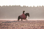 Frau und Deutsches Sportpferd