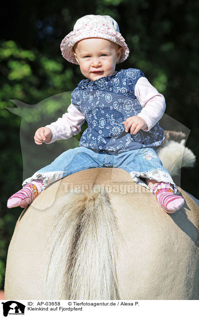 Kleinkind auf Fjordpferd / Baby on horses back / AP-03658