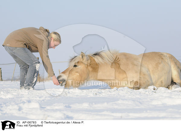 Frau mit Fjordpferd / woman with Fjord / AP-06783