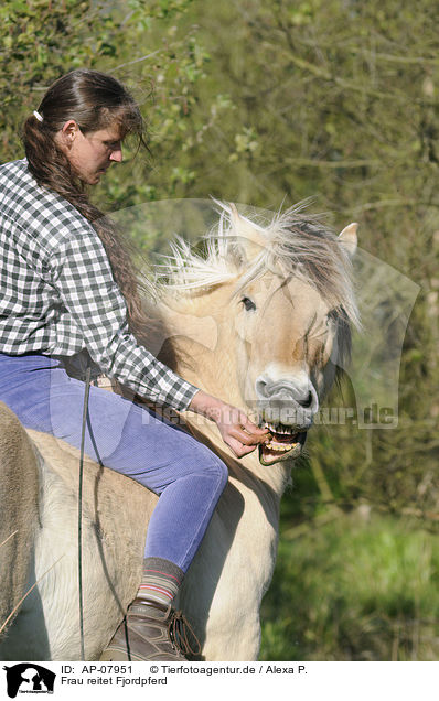 Frau reitet Fjordpferd / woman rides Fjord / AP-07951