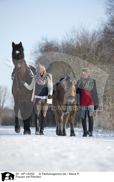 Frauen mit Pferden / woman with horses / AP-10252