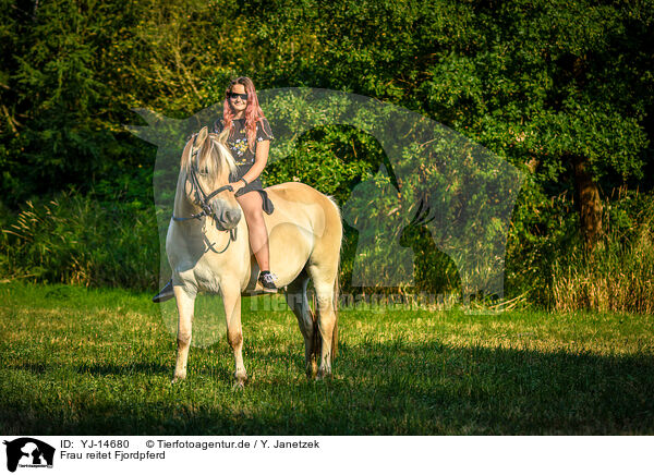 Frau reitet Fjordpferd / woman rides Fjordhorse / YJ-14680