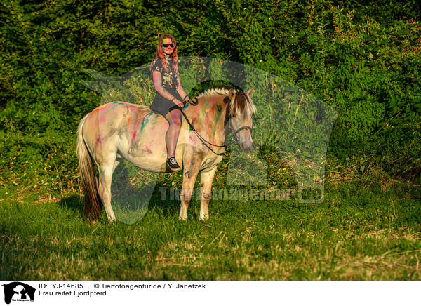 Frau reitet Fjordpferd / woman rides Fjordhorse / YJ-14685
