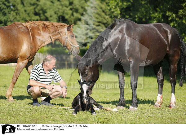 Mann mit neugeborenem Fohlen / man with newborn foal / RR-61616