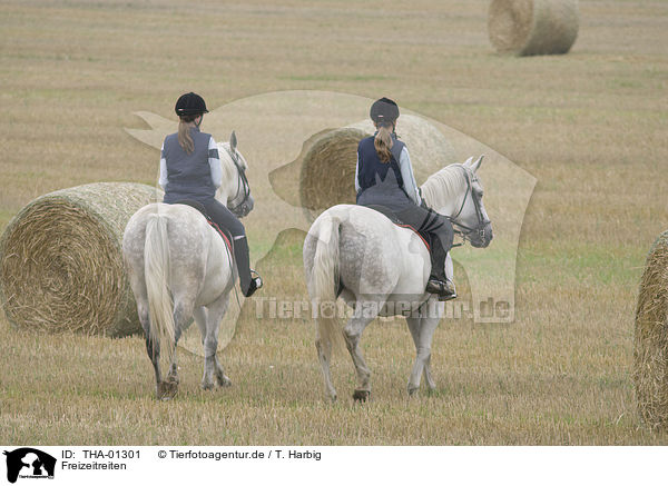 Freizeitreiten / riding / THA-01301