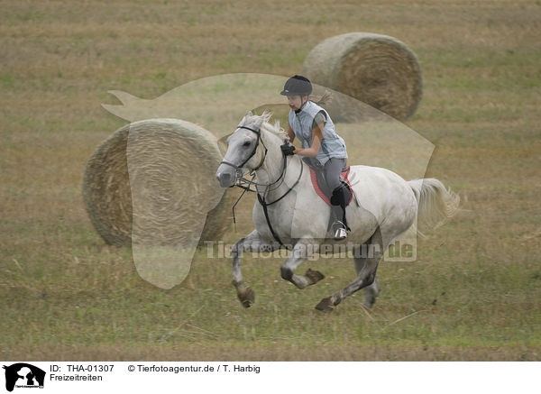 Freizeitreiten / riding / THA-01307