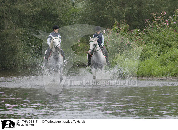 Freizeitreiten / riding / THA-01317