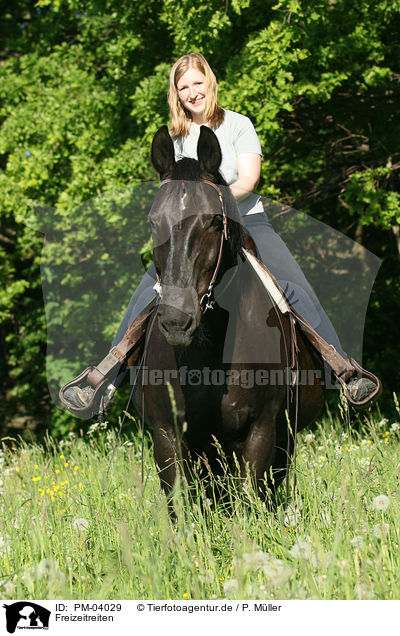 Freizeitreiten / riding woman / PM-04029