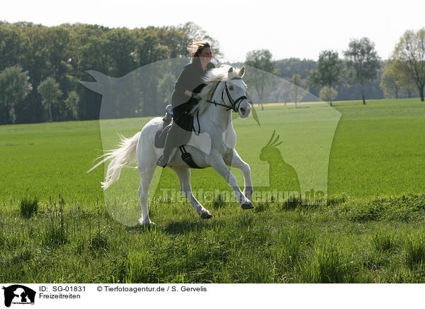 Freizeitreiten / riding woman / SG-01831