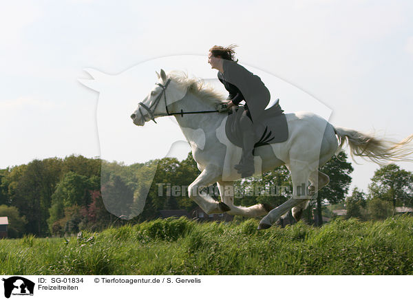 Freizeitreiten / riding woman / SG-01834