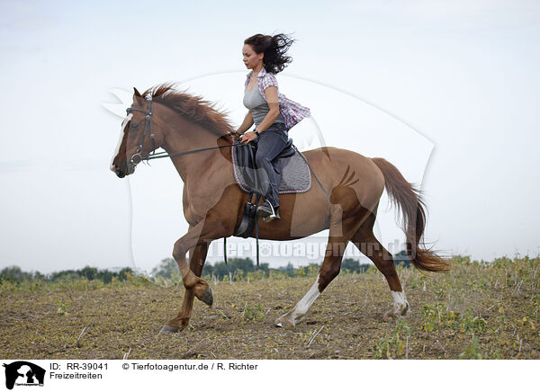 Freizeitreiten / riding woman / RR-39041