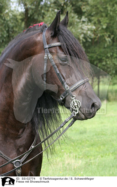 Friese mit Showschmuck / Friesian Horse / SS-02774