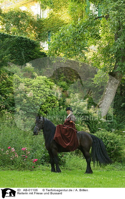 Reiterin mit Friese und Bussard / horsewoman with friesian horse and hawk / AB-01106
