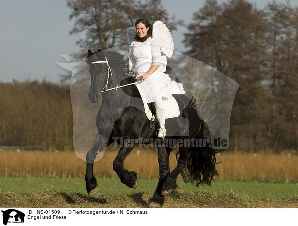 Engel und Friese / angel and friesian horse / NS-01509