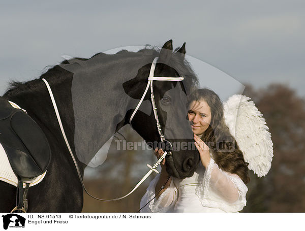 Engel und Friese / angel and friesian horse / NS-01513