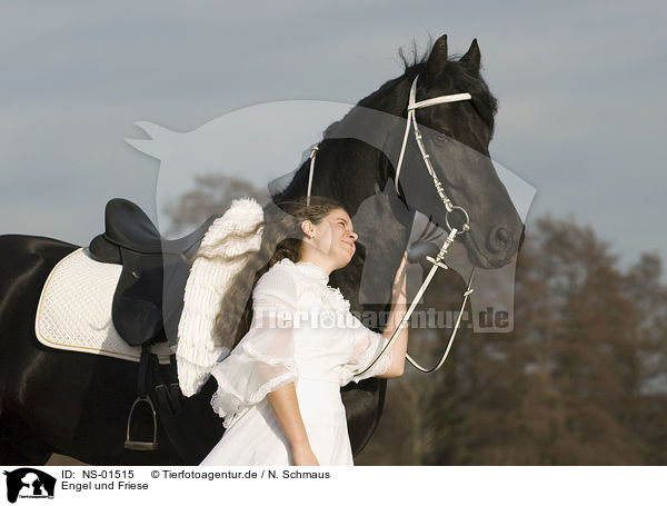 Engel und Friese / angel and friesian horse / NS-01515