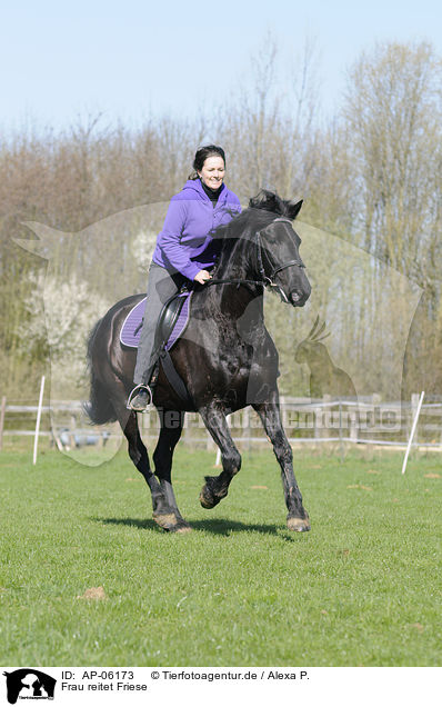 Frau reitet Friese / woman rides Friesian horse / AP-06173
