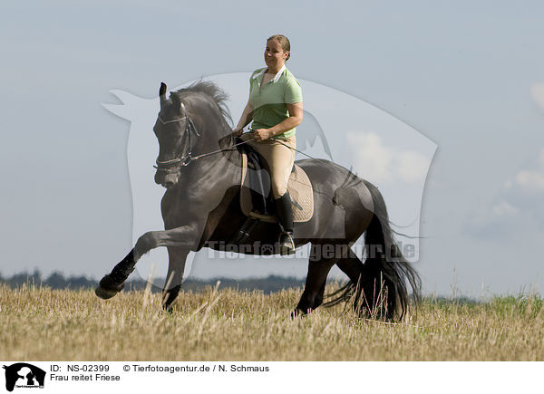 Frau reitet Friese / woman rides Frisian horse / NS-02399