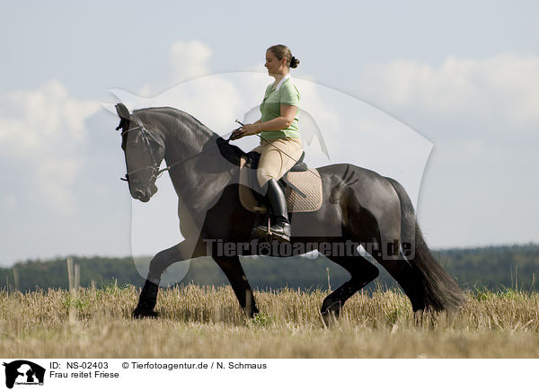 Frau reitet Friese / woman rides Frisian horse / NS-02403