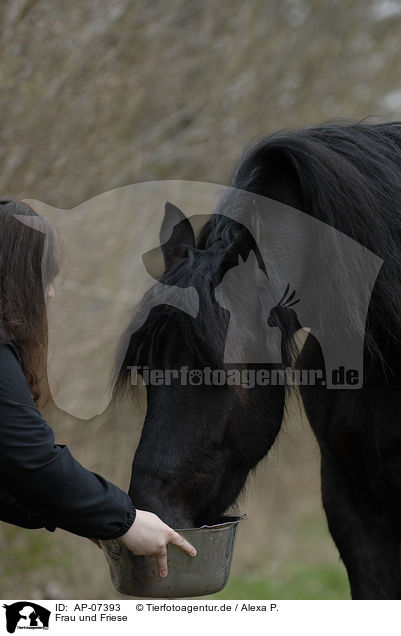 Frau und Friese / woman and Frisian horse / AP-07393