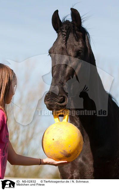 Mdchen und Friese / girl and Friesian horse / NS-02832