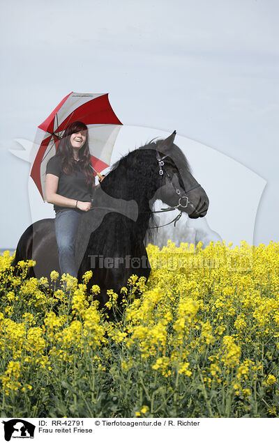 Frau reitet Friese / woman rides Frisian horse / RR-42791