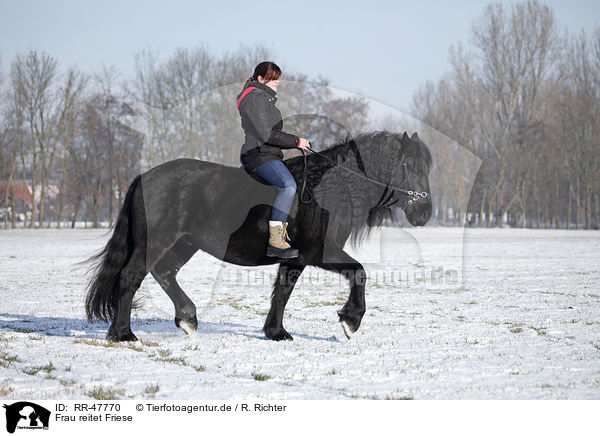 Frau reitet Friese / woman rides Frisian horse / RR-47770