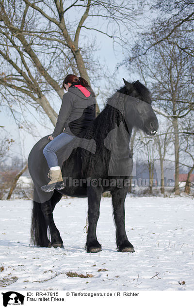 Frau reitet Friese / woman rides Frisian horse / RR-47815
