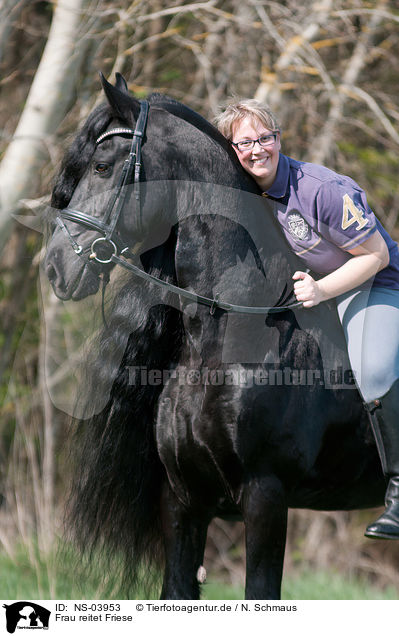 Frau reitet Friese / woman rides Frisian horse / NS-03953