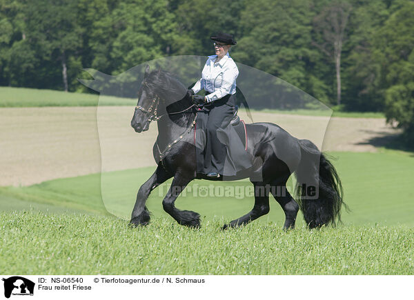 Frau reitet Friese / woman rides Friesian horse / NS-06540