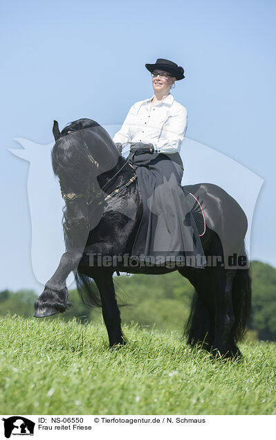 Frau reitet Friese / woman rides Friesian horse / NS-06550
