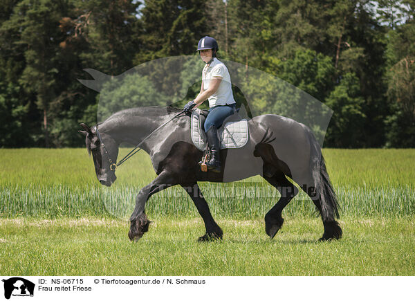 Frau reitet Friese / woman rides Frisian / NS-06715